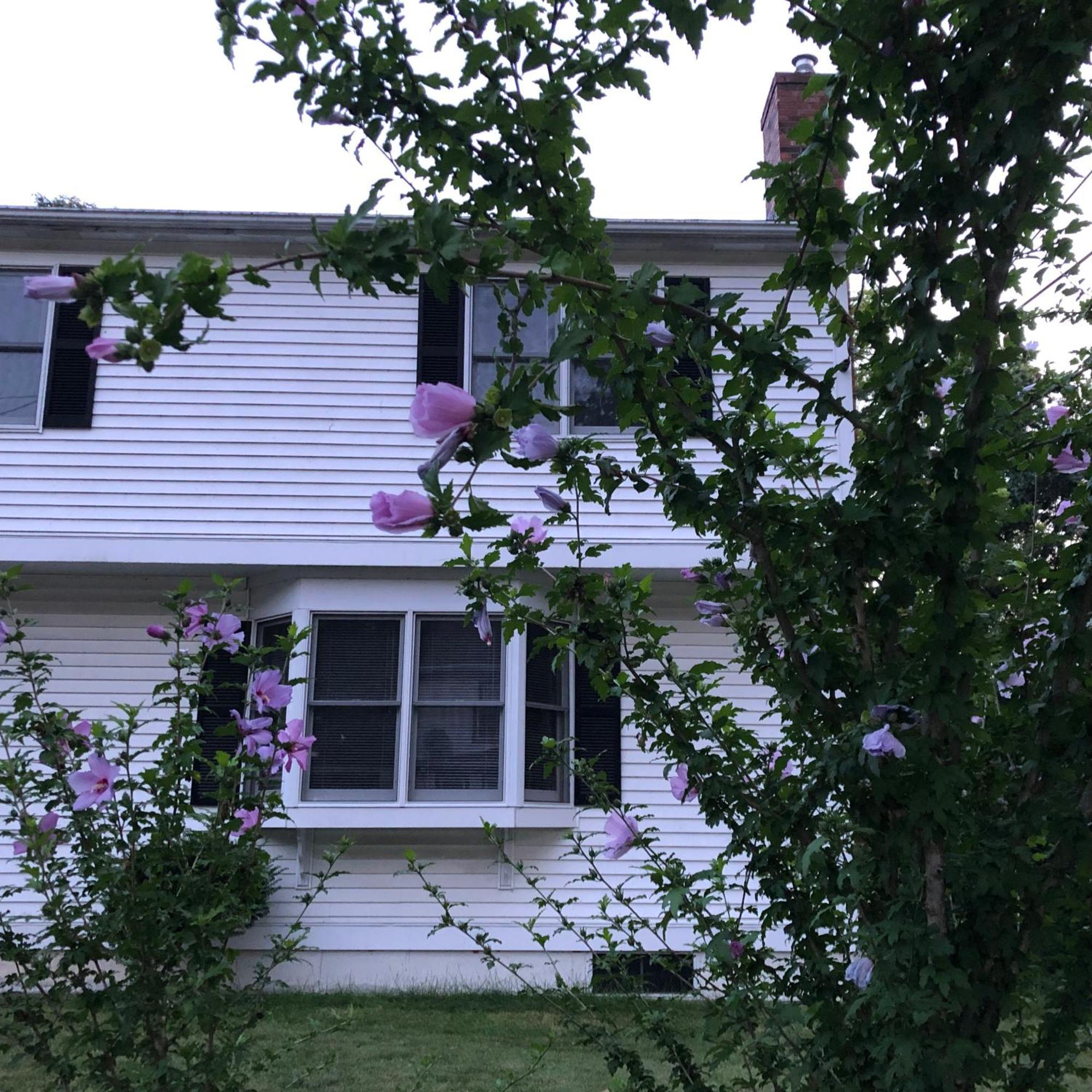 Boston Single Family House - Super Quiet And Private Villa ภายนอก รูปภาพ